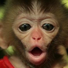 Сергей Потапов, 10.12.1972, Москва