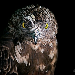 Ии Щербакова, Челябинск