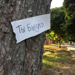 Алисочка Дрова, 18.08.1998