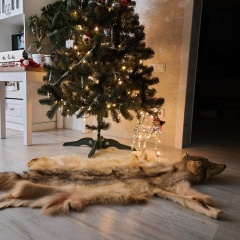 Николай Огурцов, 04.10