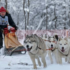 Александр Ларионов, Москва