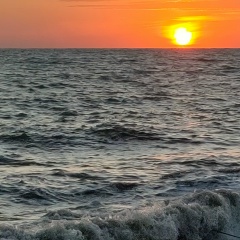 Lara Klad, Ростов-на-Дону