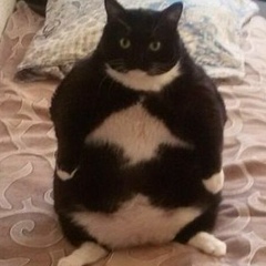 Олег Засеев, 25.09.1982, Санкт-Петербург