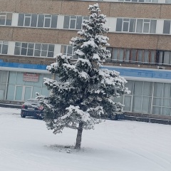 Татьяна Алексеевна, 20.07, Краснокамск