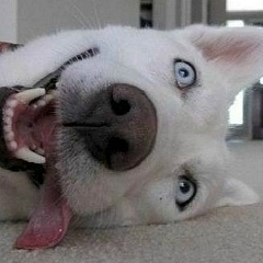 Андрей Мозалёв, 28.04.1984, Днепр (Днепропетровск)