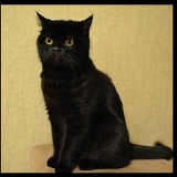 Лена Соловянчик, 09.04, Москва