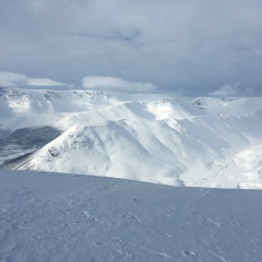 Мими Но, 02.07.2006, Простоквашино