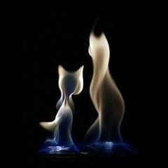 Анна Гарайс, Санкт-Петербург