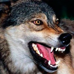 Марсель Гильванов, 28.06.1991, Набережные Челны