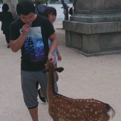 Dima Ууу, 25.06.1992, Tokyo