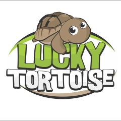 Sean Sean, 01.02.2001