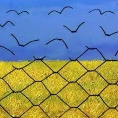 Дар'я Анцибор, 07.08, Киев