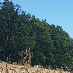 Александра Николаева, 18.11.1984, Москва