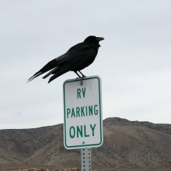 Владимир Хаванов, Магнитогорск