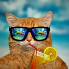 Иван Сидоров