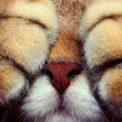 Юлия Иванова, 02.01