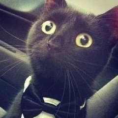 Алексей Богданов, 08.06.1987, Нарва