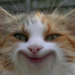 Вконтактий Говну, 27.05.1986, Тверь