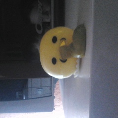 Иван Ильку, 23.05