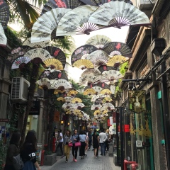 Aigul Almerekova, Shanghai