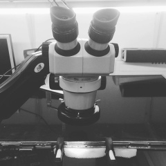 Эмиль Мавлютов, 17.06, Москва