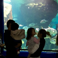 Sam Zhumabekova, 10.07, Москва