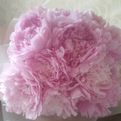 Анна Барановская