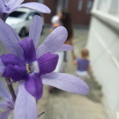 Anna Shumkova, 20.08.1986, Rio de Janeiro