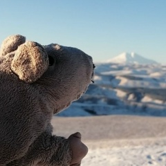 Александра Тимофеева, 29.03, Москва