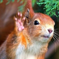 Ирина Леонова, 21.04, Москва