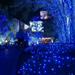 Кристина Миллер, 25.04, Сочи