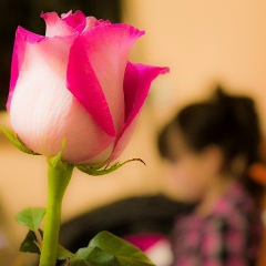 Александра Трегулова, 20.11.1986, Днепр (Днепропетровск)