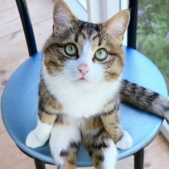 Константин Новиков