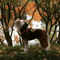 Аллочка Измайлова, 18.12.1990, Москва