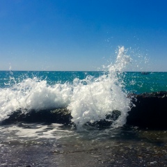 Алексей Мелешин