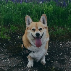 Аркадий Анохин, 08.06.1966, Санкт-Петербург