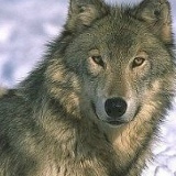 Edward Takarchuk, Актобе