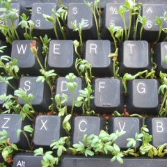 Анатолий Койнов, 10.05, Екатеринбург