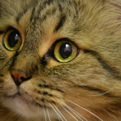 Пожившая Циолковчанка, 01.06, Москва