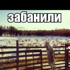 Ислам Юшиза, 02.05.1998, Бишкек