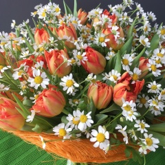 Олеся , 10.04.1984, Москва