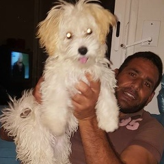 Mezri Chedly, 19.02.1975, Monastir