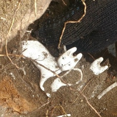 Анастасия Яланская, 24.06