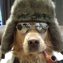 Михаил Орсичев, 10.08