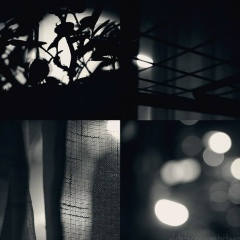 Алексей Александров, 22.06, Санкт-Петербург