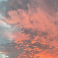 Владислав Глущенок, 23.09.1995, Санкт-Петербург