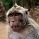 Владислав Савицкий, 05.09, Москва