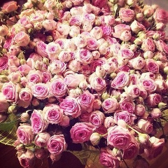 Ольга Квасова, 09.04.1984, Киев