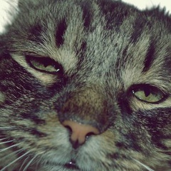 Витек Шилов, 24.03.1994, Чита