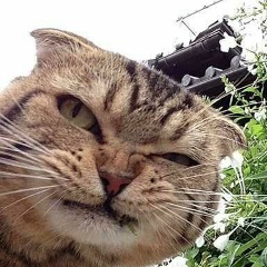 Василий Теркин, Бийск